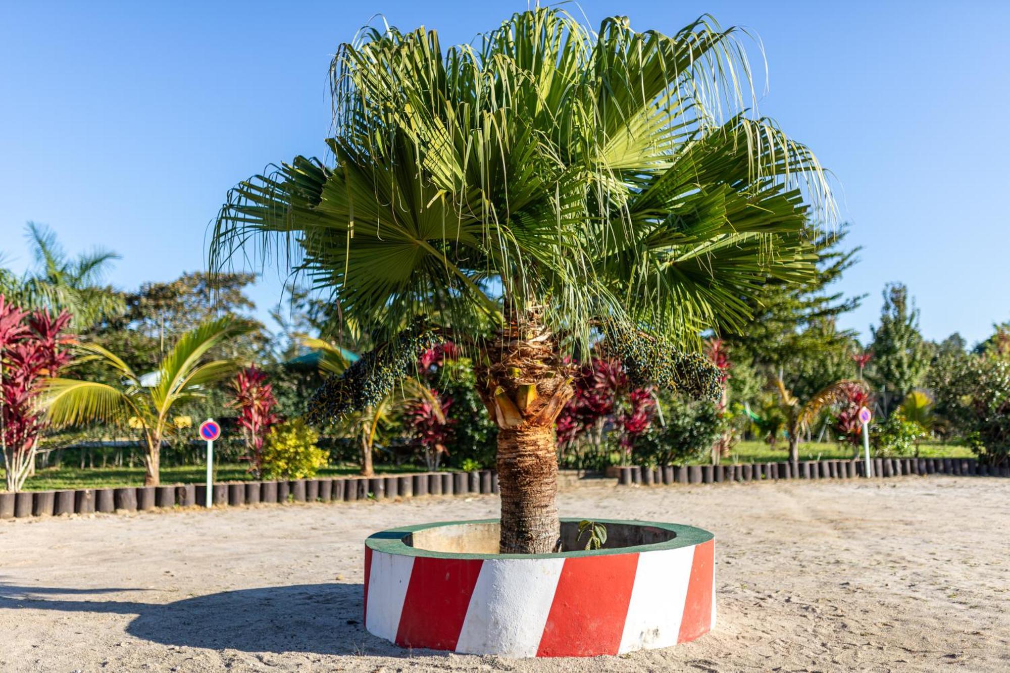 Andasibe Lemurs Lodge Zewnętrze zdjęcie